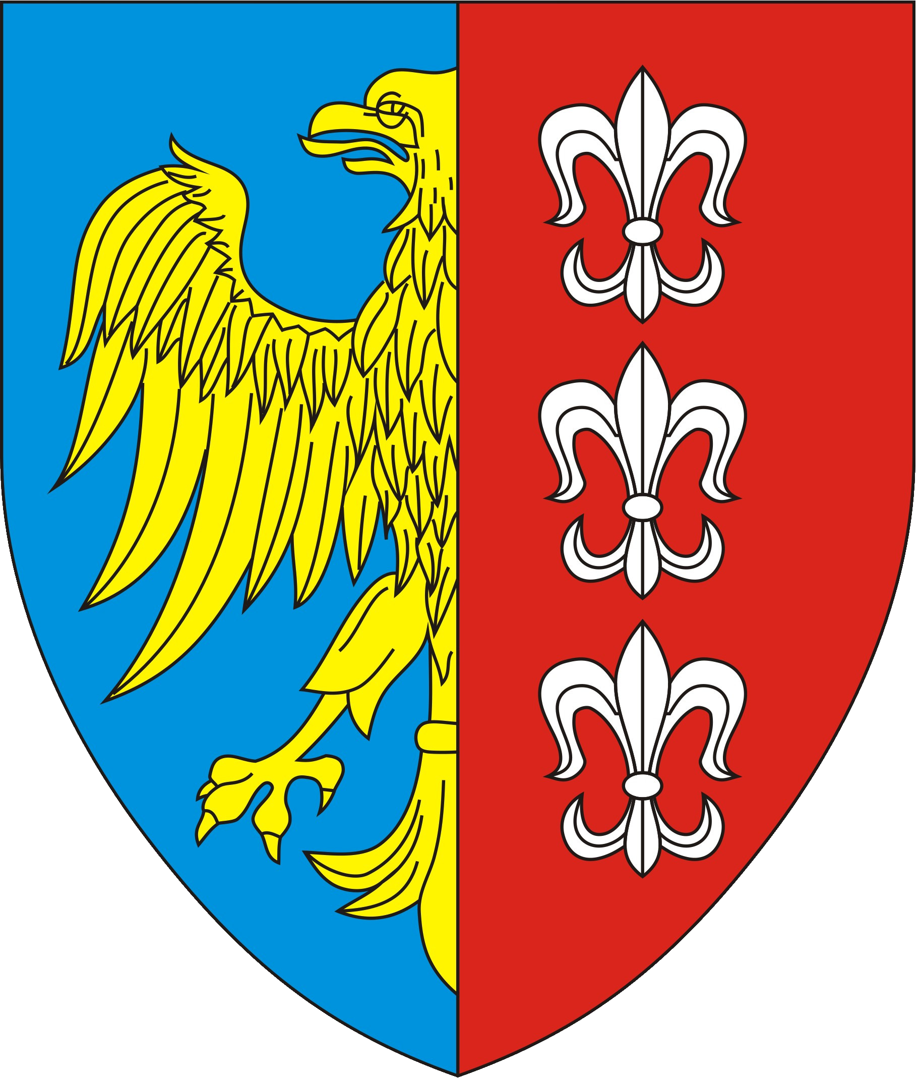 Bielsko-Biała.png